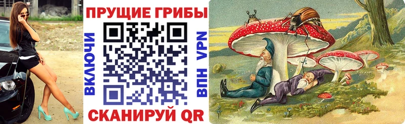 маркетплейс телеграм  Райчихинск  Галлюциногенные грибы Psilocybe 